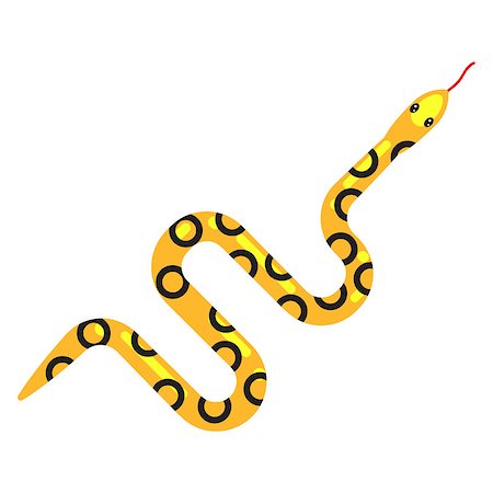 simsearch:400-04661996,k - Yellow spotted snake cartoon vector illustration on white. Reptile sandy desert poisonous animal. Foto de stock - Royalty-Free Super Valor e Assinatura, Número: 400-08931247