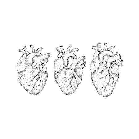 simsearch:400-07116715,k - Three Human Hearts Dotwork. Raster Illustration of Hipster Style T-shirt Design. Tattoo Hand Drawn Sketch. Stock Photo - Budget Royalty-Free & Subscription, Code: 400-08931964