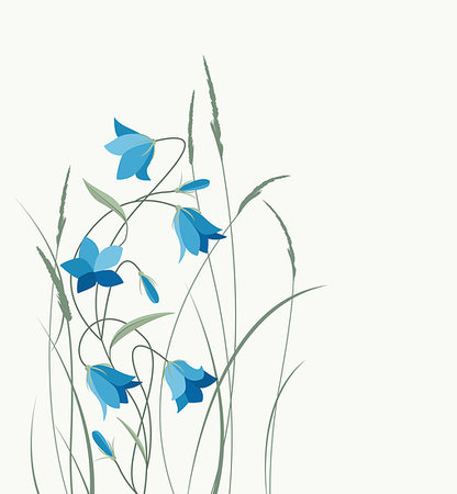 Vector illustration blue bell-shaped flowers in the grass. Summer flowers Campanula Foto de stock - Super Valor sin royalties y Suscripción, Código: 400-08932444