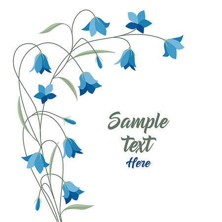 Vector illustration blue bell-shaped bloom, summer flower Campanula Foto de stock - Super Valor sin royalties y Suscripción, Código: 400-08932443