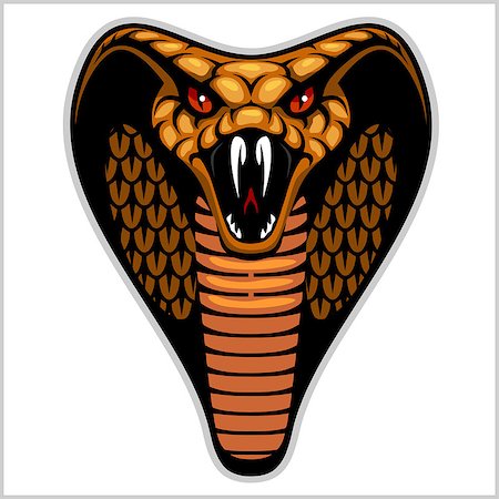 scary snakes - Snake head - isolated on white - vector illustration Foto de stock - Super Valor sin royalties y Suscripción, Código: 400-08954459