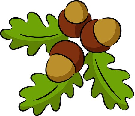 simsearch:400-05277296,k - Illustration of leaves and acorn nuts, isolated Stock Photo - Budget Royalty-Free & Subscription, Code: 400-08954615