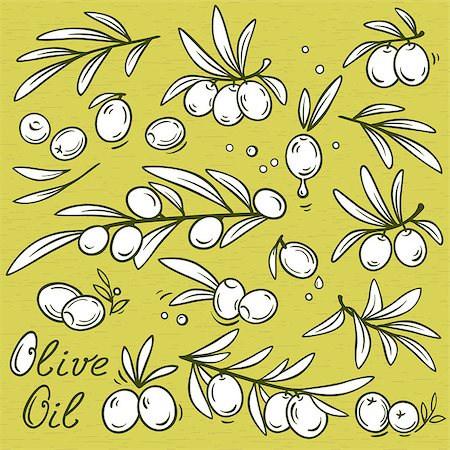 set of decorative olive branches with fruits and oil drops Stock Photo - Budget Royalty-Free & Subscription, Code: 400-08955438