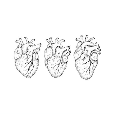 simsearch:400-07116715,k - Dotwork Three Human Hearts. Vector Illustration of Hipster Style T-shirt Design. Tattoo Hand Drawn Sketch. Stock Photo - Budget Royalty-Free & Subscription, Code: 400-08955666