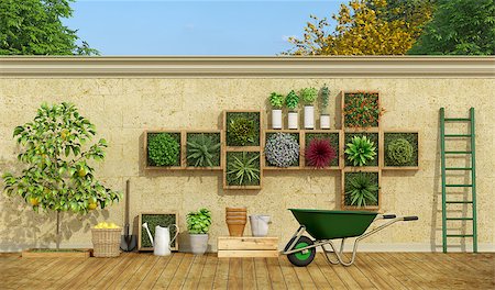 simsearch:400-08554639,k - Vertical garden on stone wall,lemon tree ,wheelbarrow and ladder - 3d rendering Stock Photo - Budget Royalty-Free & Subscription, Code: 400-08956227