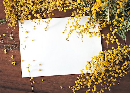 simsearch:6102-03750354,k - Greeting card with mimosa and blank space for text Photographie de stock - Aubaine LD & Abonnement, Code: 400-08956405