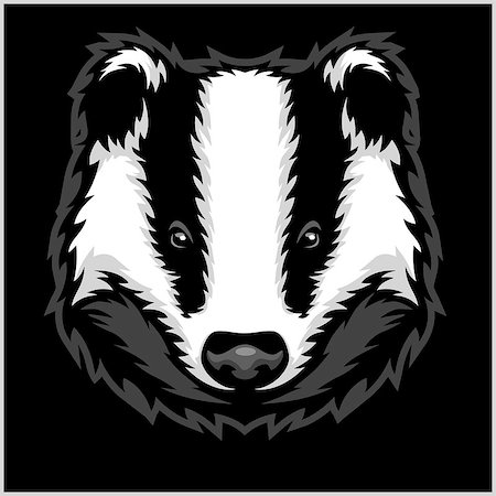 dachs - Badger Head black and white - vector illustration Stockbilder - Microstock & Abonnement, Bildnummer: 400-08956820