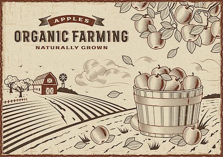 Vintage organic farming label on apple harvest landscape. Editable EPS10 vector illustration in woodcut style with clipping mask. Photographie de stock - Aubaine LD & Abonnement, Code: 400-08958250