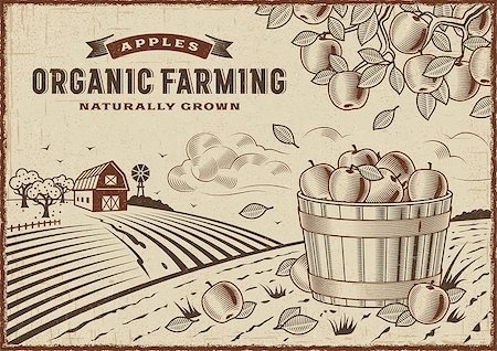 Vintage organic farming label on apple harvest landscape. Editable EPS10 vector illustration in woodcut style with clipping mask. Stock Photo - Budget Royalty-Free & Subscription, Code: 400-08958250