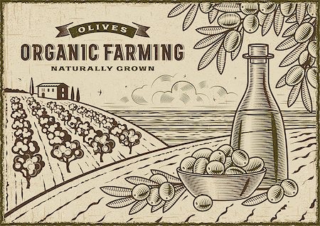 Vintage organic farming label on olive harvest landscape. Editable EPS10 vector illustration in woodcut style with clipping mask. Stock Photo - Budget Royalty-Free & Subscription, Code: 400-08958252