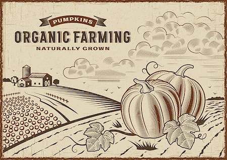 Vintage organic farming label on pumpkin harvest landscape. Editable EPS10 vector illustration in woodcut style with clipping mask. Stock Photo - Budget Royalty-Free & Subscription, Code: 400-08958253