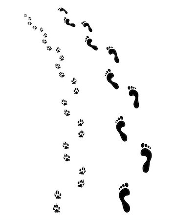 footprints on a path vector - Prints of human feet and dog paws, turn left Stock Photo - Budget Royalty-Free & Subscription, Code: 400-08958744
