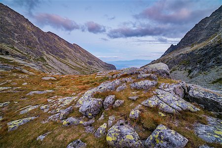 simsearch:400-09275240,k - Mountain Landscape with Rocks in Foreground in the Evening. Mlynicka Valley, High Tatra, Slovakia. Photographie de stock - Aubaine LD & Abonnement, Code: 400-08959537