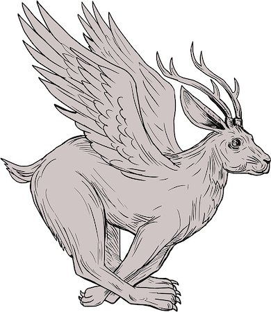 simsearch:400-08917363,k - Drawing sketch style illustration of a Wolpertinger, in Bavarian folklore, a mythical hare with antlers, fangs and wings running viewed from the side set on isolated white background. Stock Photo - Budget Royalty-Free & Subscription, Code: 400-08964179