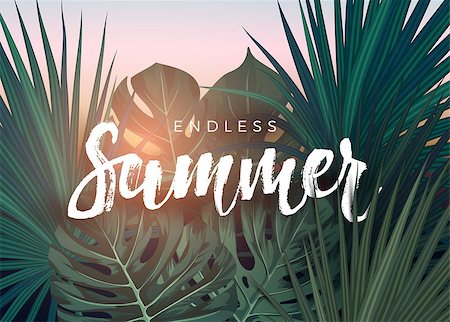 Summer tropical design for banner or flyer with dark green tropical palm leaves lettering. Vector illustration. Stock Photo - Budget Royalty-Free & Subscription, Code: 400-08964310