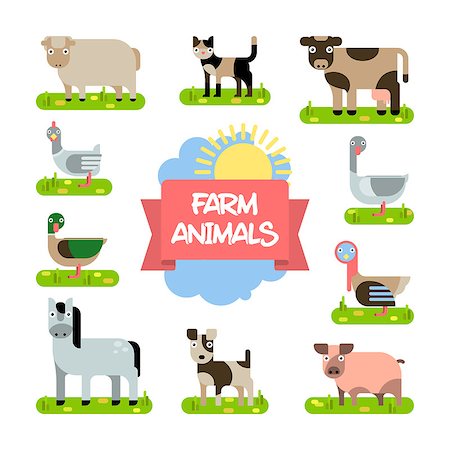 simsearch:400-08979243,k - Vector Collection of Animals and Birds that Live on the Farm in Trendy Flat Style. Set of Animals Horse, Dog, Cat, Cow and Sheep, Chicken and Pig, on White Illustration in Flat Design. Foto de stock - Super Valor sin royalties y Suscripción, Código: 400-08964676