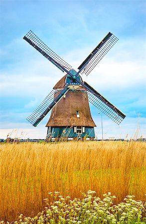 simsearch:400-06101286,k - Old Dutch mill with yellow wheat at blue white cloud Netherlands summery landscape. Stock Photo - Budget Royalty-Free & Subscription, Code: 400-08964730