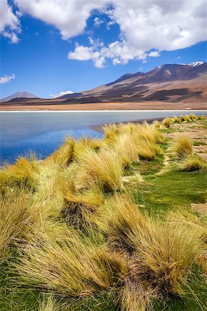 Altiplano laguna in sud Lipez reserva Eduardo Avaroa, Bolivia Stock Photo - Budget Royalty-Free & Subscription, Code: 400-08964884