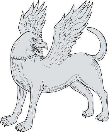 simsearch:400-08917363,k - Drawing sketch style illustration of a Chamrosh, a Persian mythology creature with the body of a dog with the head and wings of a bird rather like the Greek Griffin viewed from the side set on isolated white background. Stock Photo - Budget Royalty-Free & Subscription, Code: 400-08965068