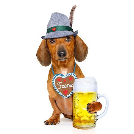 simsearch:400-08163219,k - bavarian dachshund or sausage  dog with  gingerbread and  mug  isolated on white background , ready for the beer celebration festival in munich, Photographie de stock - Aubaine LD & Abonnement, Code: 400-08965630