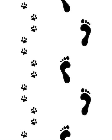 footprints on a path vector - Prints of feet and paws of dog, seamless vector wallpaper Stock Photo - Budget Royalty-Free & Subscription, Code: 400-08965775
