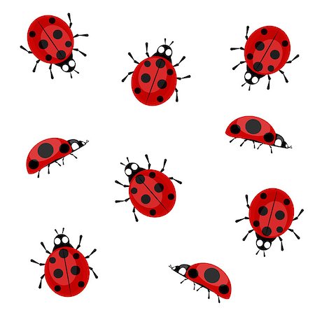 phantom1311 (artist) - Ladybugs in different positions on a white background Stock Photo - Budget Royalty-Free & Subscription, Code: 400-08966270