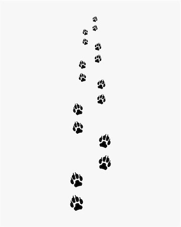 simsearch:400-08107152,k - Black trail of dog on a gray background, forward Foto de stock - Royalty-Free Super Valor e Assinatura, Número: 400-08966861