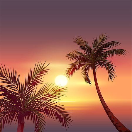 palm beach island florida - Sunset on tropical island. Black silhouette of palm tree in red sky. Vector cartoon illustration Stock Photo - Budget Royalty-Free & Subscription, Code: 400-08967174