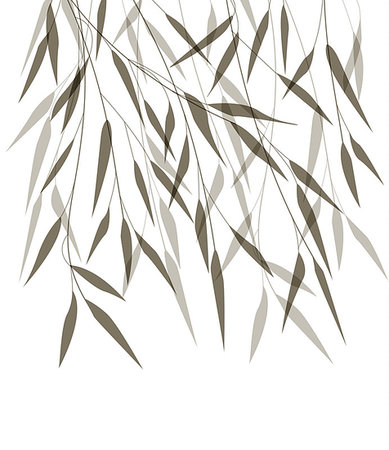 simsearch:400-07035863,k - Vector Illustration bamboo leaves. Background with black leaves Stockbilder - Microstock & Abonnement, Bildnummer: 400-08967662