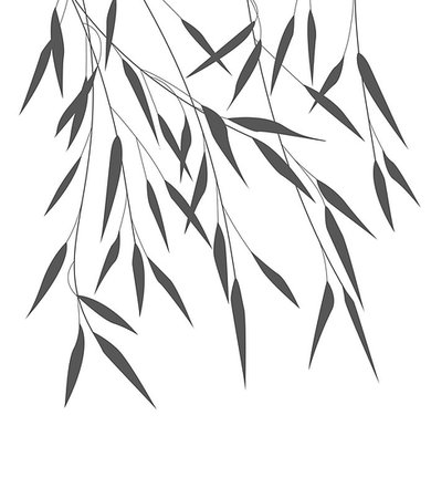 simsearch:400-07035863,k - Vector Illustration bamboo leaves. Background with black leaves Stockbilder - Microstock & Abonnement, Bildnummer: 400-08967663