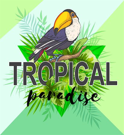 simsearch:400-09048464,k - Green triangle with palm leaves and toucan bird. Abstract tropical summer background. Stockbilder - Microstock & Abonnement, Bildnummer: 400-08967726