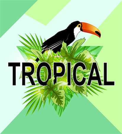 simsearch:400-09048464,k - Green triangle with palm leaves and toucan bird. Abstract geometric tropical summer background. Stockbilder - Microstock & Abonnement, Bildnummer: 400-08967727