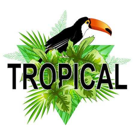 simsearch:400-09048464,k - Green triangle with palm leaves and toucan bird on a white background. Abstract tropical summer background. Stockbilder - Microstock & Abonnement, Bildnummer: 400-08967728