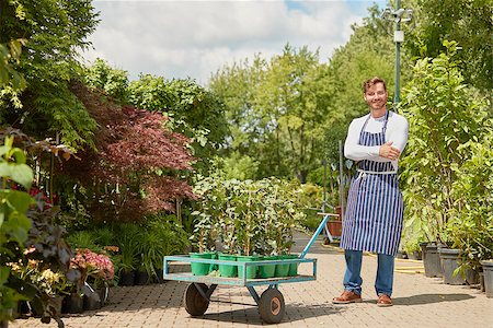 Horizontal outdoors shot of smiling male gardener standing with wagon with potted plants and looking at camera. Stock Photo - Budget Royalty-Free & Subscription, Code: 400-08968135