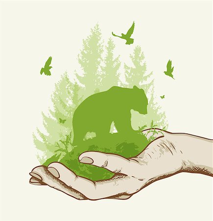 simsearch:400-04156281,k - Green fir tree, bear and birds in the hand. Ecology concept. Foto de stock - Super Valor sin royalties y Suscripción, Código: 400-08968474