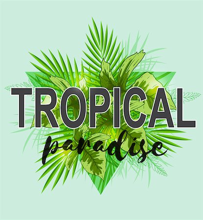 simsearch:400-09011216,k - Abstract triangle tropical background with green palm leaves. Tropical paradise lettering Foto de stock - Super Valor sin royalties y Suscripción, Código: 400-08968481