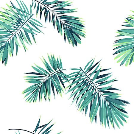 simsearch:400-08754428,k - Tropical pattern with exotic plants. Seamless tropical pattern with green phoenix palm leaves. Vector illustration. Stock Photo - Budget Royalty-Free & Subscription, Code: 400-08960218