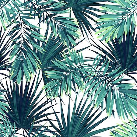 simsearch:400-08754428,k - Tropical background with jungle plants. Seamless tropical pattern with green phoenix palm leaves. Vector illustration. Stock Photo - Budget Royalty-Free & Subscription, Code: 400-08960219