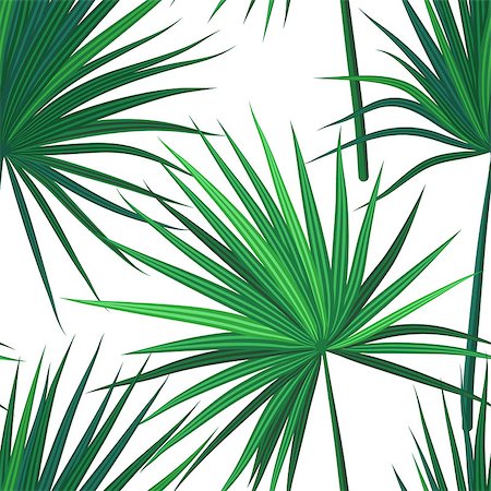 Tropical background with jungle plants. Seamless tropical pattern with green sabal palm leaves. Vector illustration. Foto de stock - Super Valor sin royalties y Suscripción, Código: 400-08960226