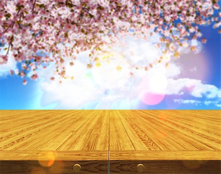simsearch:400-09068018,k - 3D render of a wooden table against a defocussed cherry tree blossom background Stock Photo - Budget Royalty-Free & Subscription, Code: 400-08961899
