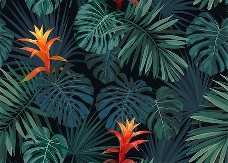 Hand drawn seamless tropical floral pattern with guzmania flowers, monstera and royal palm leaves. Exotic hawaiian fabric design. Vector illustration. Stock Photo - Budget Royalty-Free & Subscription, Code: 400-08962248