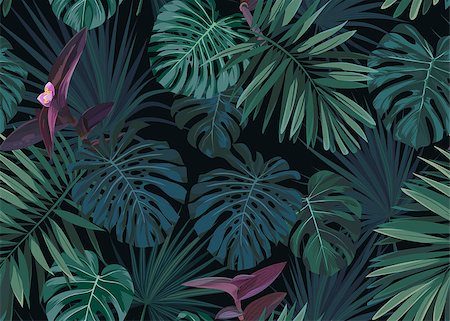 Seamless hand drawn botanical exotic pattern with green palm leaves on dark background. Vector illustration. Foto de stock - Super Valor sin royalties y Suscripción, Código: 400-08963077