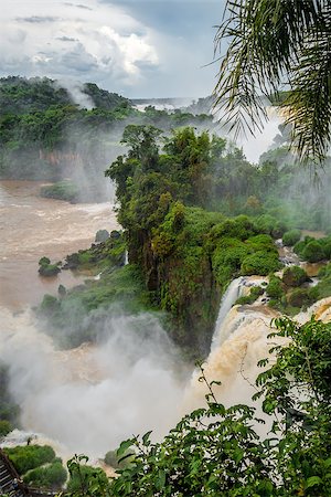 paraguay - iguazu falls national park. tropical waterfalls and rainforest landscape Fotografie stock - Microstock e Abbonamento, Codice: 400-08963323