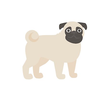fashion dog cartoon - pug vector cute isolated illustration Stock Photo - Budget Royalty-Free & Subscription, Code: 400-08974377