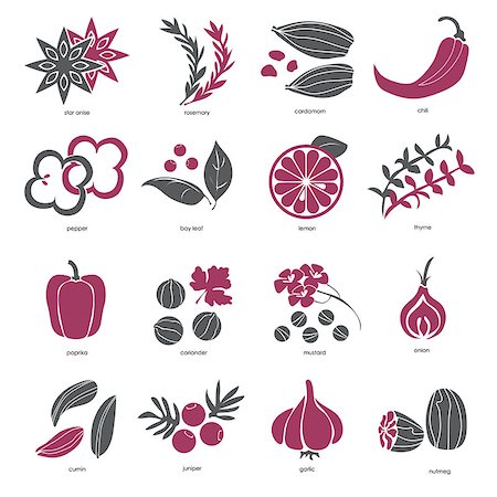 fresh rosemary - Web icon set - spices, condiments and herbs - vector Stock Photo - Budget Royalty-Free & Subscription, Code: 400-08974869