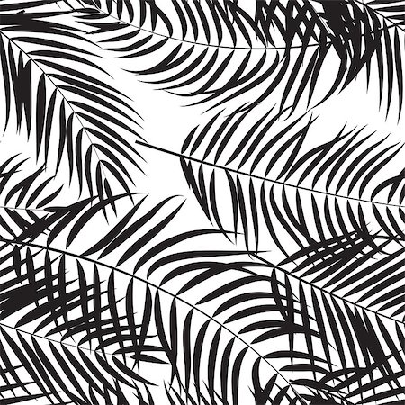 single coconut tree picture - Beautifil Palm Tree Leaf Silhouette Seamless Pattern Background Vector Illustration EPS10 Stock Photo - Budget Royalty-Free & Subscription, Code: 400-08975024