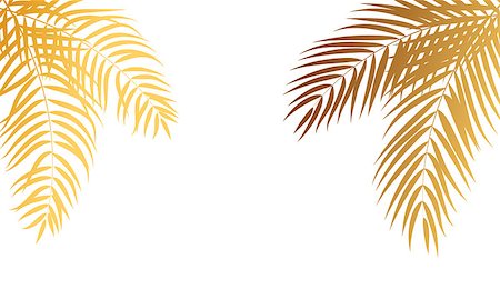 single coconut tree picture - Beautifil Palm Tree Leaf  Silhouette Background Vector Illustration EPS10 Stock Photo - Budget Royalty-Free & Subscription, Code: 400-08975025