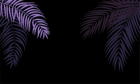 single coconut tree picture - Beautifil Palm Tree Leaf  Silhouette Background Vector Illustration EPS10 Stock Photo - Budget Royalty-Free & Subscription, Code: 400-08975588