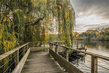 simsearch:400-08812531,k - Wood footbridge on the Erdre river in autumn (Nantes, Loire Atlantique) Fotografie stock - Microstock e Abbonamento, Codice: 400-08975670