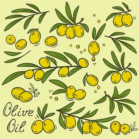 vintage set of hand drawn olive branches and oil Stock Photo - Budget Royalty-Free & Subscription, Code: 400-08975989